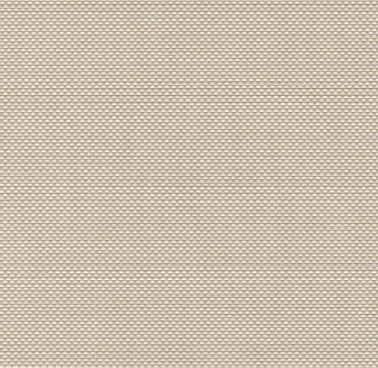 White + Beige