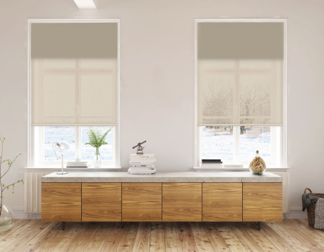 Double Roller Shades with white-beige solar shades installed on two windows
